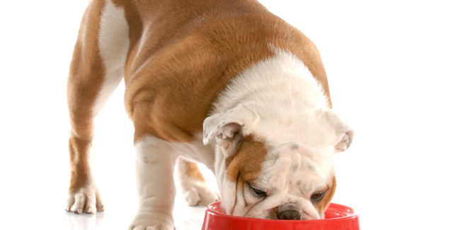 Why Do Recalls Always Seem To Get Bigger And Never Stay The Same?